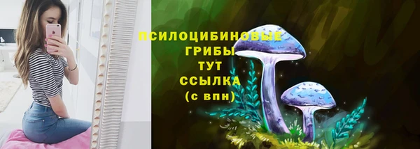 хмурый Алзамай